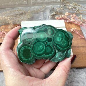 Beautiful Malachite Free Form | Malachite Specimen